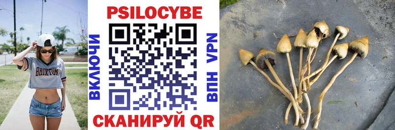 Купить где  Таруса  Галлюциногенные грибы Cubensis 
