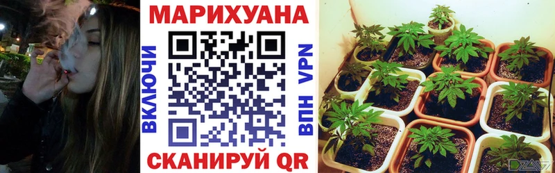 Купить где  Таруса  Шишки марихуана ГИДРОПОН 